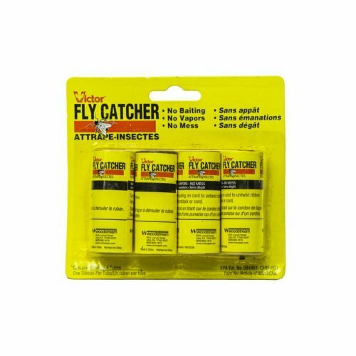 4 fly-catcher tubes.