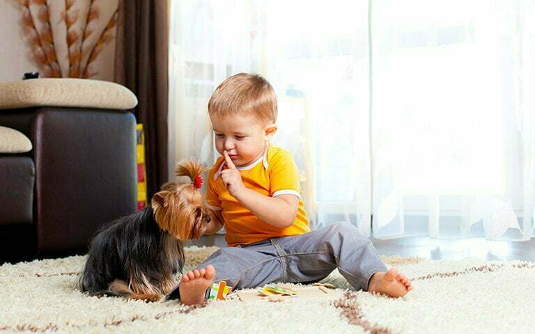 securitaire-enfant Un enfant jouant avec un petit chien.