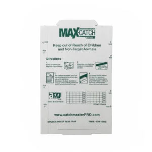 Trappe collante pour les souris et insectes.