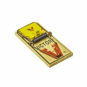 A Victor mousetrap.